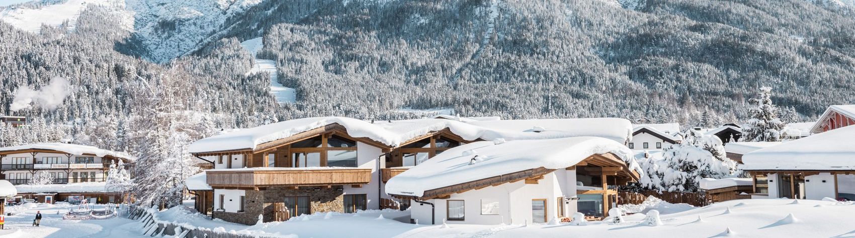 Außenansicht Löwenchalets Winter